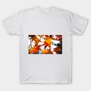 Photography - Japanese fall T-Shirt